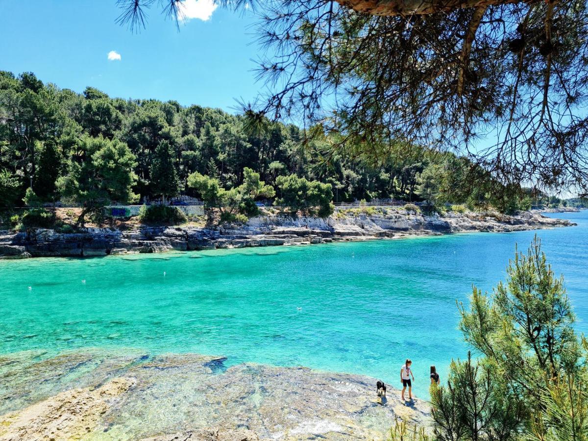 Holiday Home "Mala Kuca " With Heated Pool Pola Esterno foto